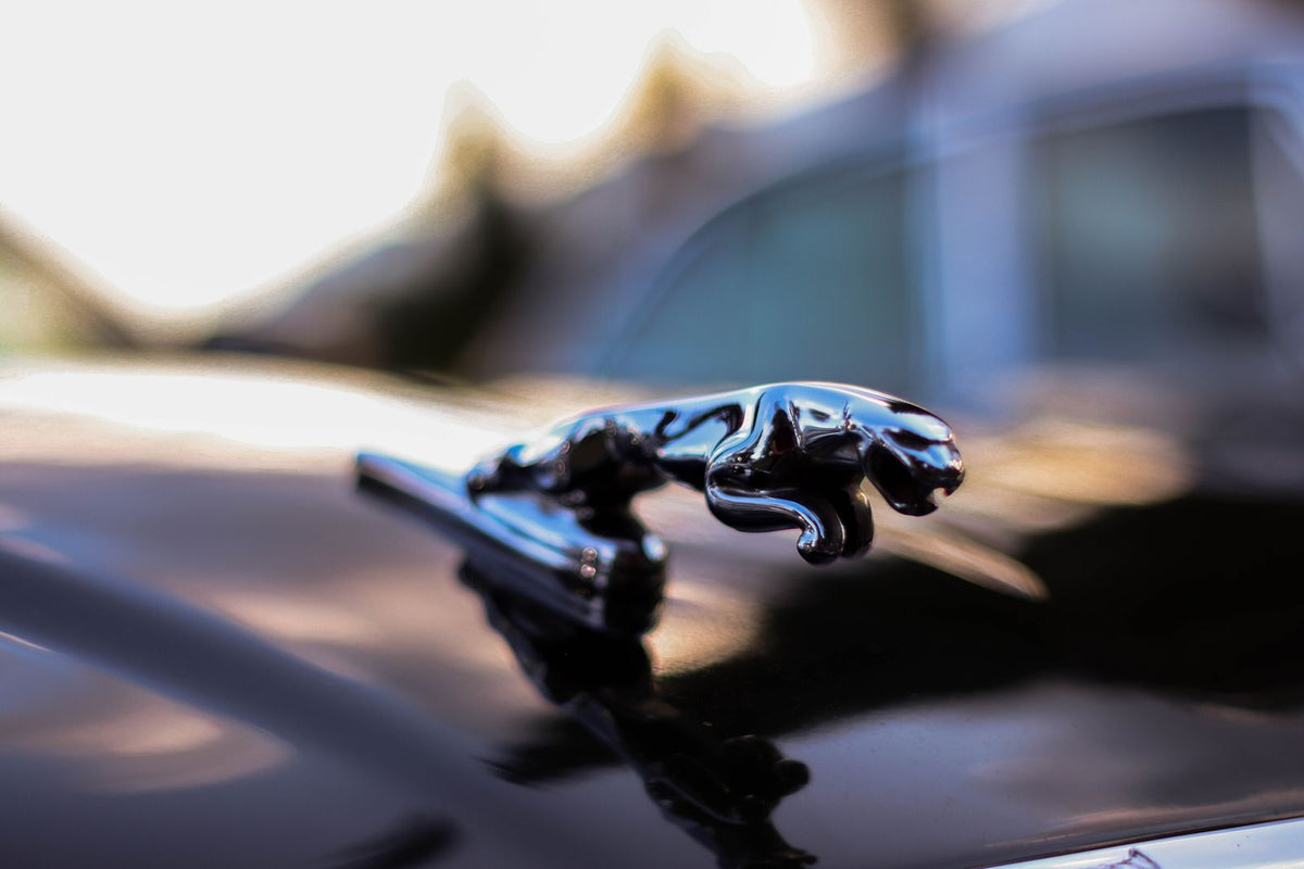 Close-up of a Jaguar car emblem