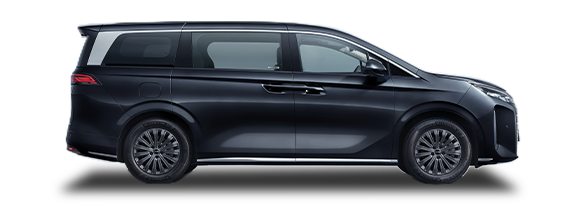 BYD M9