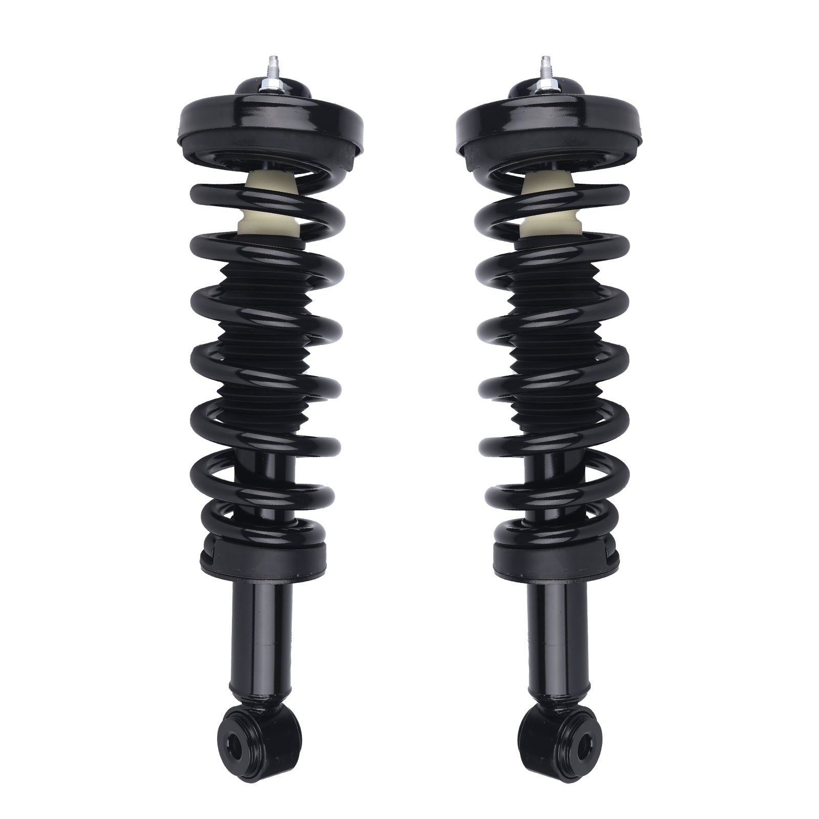 2Pcs Front Complete Shock Absorber for 2004-2008 Ford F-150, 2006-2008 Lincoln Mark LT