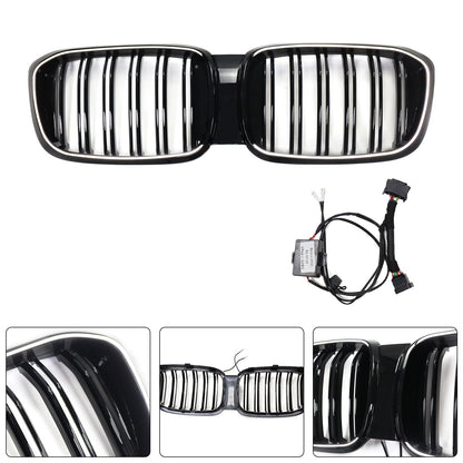 2018-2021 BMW X4 G02 X3 G01 G08 Pre-LCI Front Kidney Mesh Grille (51138469959)