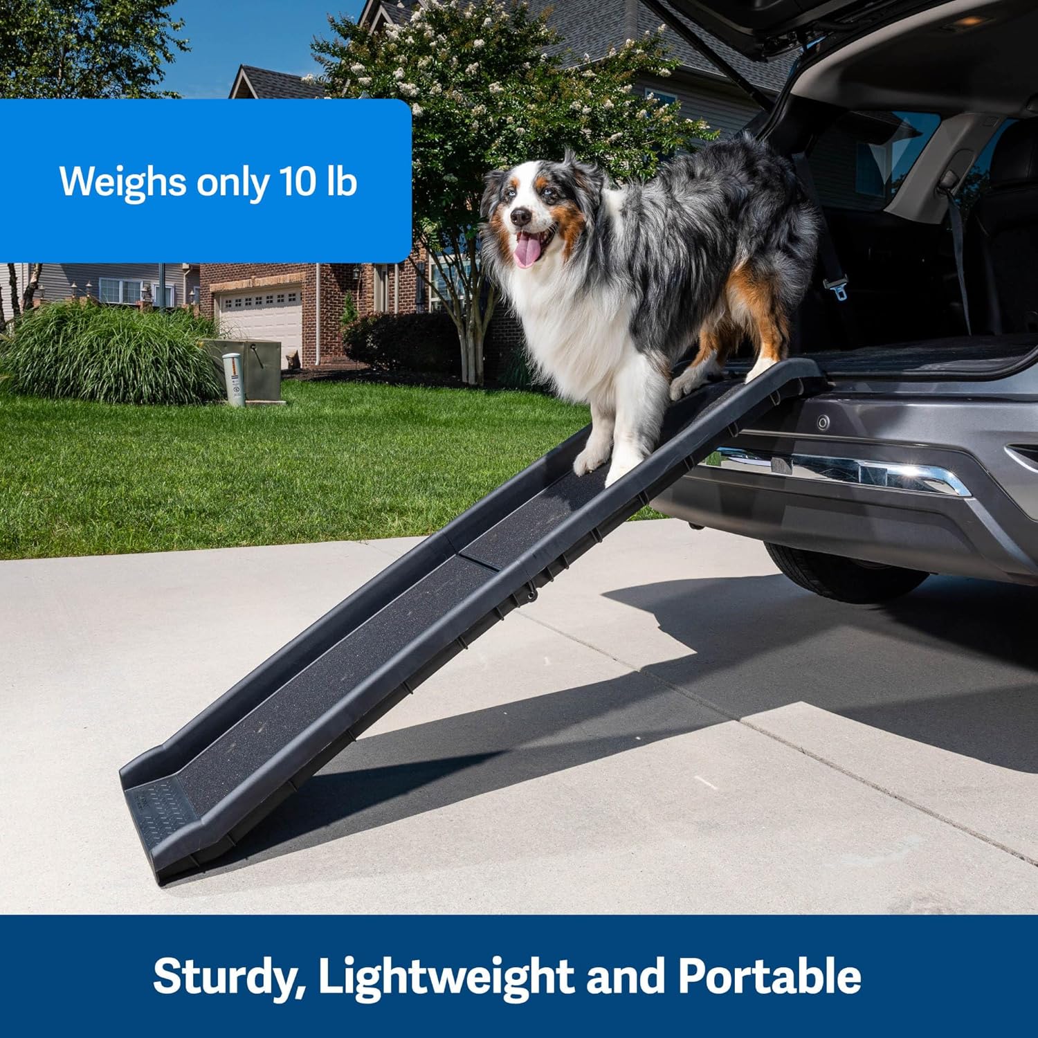Folding Pet Ramp for Cars, Trucks, & SUVs- 62 Inch Portable for Large Dogs with Siderails, Non-Slip- Weighs Only 10 lb, Supports up to 150 lb, Easy Storage, Folds in Half - OMOTOR