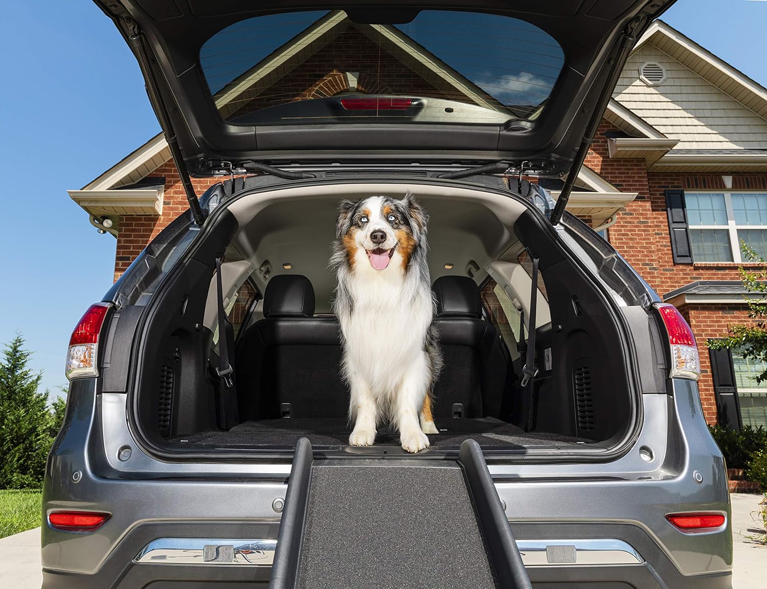 Folding Pet Ramp for Cars, Trucks, & SUVs- 62 Inch Portable for Large Dogs with Siderails, Non-Slip- Weighs Only 10 lb, Supports up to 150 lb, Easy Storage, Folds in Half - OMOTOR