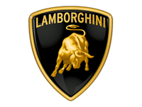 Car brand logo