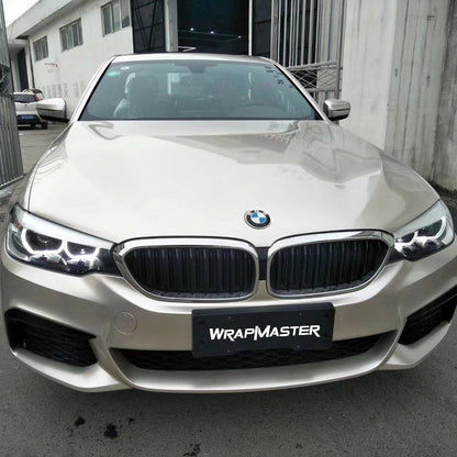 Gloss Metallic Champaign Light Gold Vehicle (PET Liner)