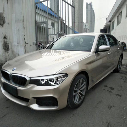 Gloss Metallic Champaign Light Gold Vehicle (PET Liner)