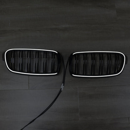 2012-2019 BMW 3 Series F30 F31 F35 Double Slat Front Kidney Grille (51137263481)