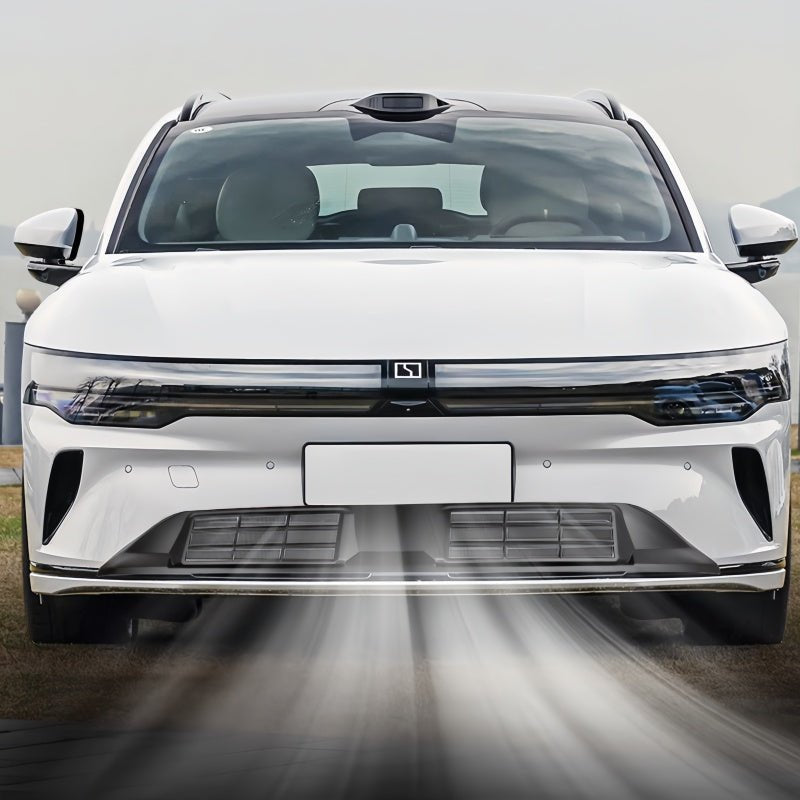 Front Bumper Insect Guard Grille for Zeekr 7GT