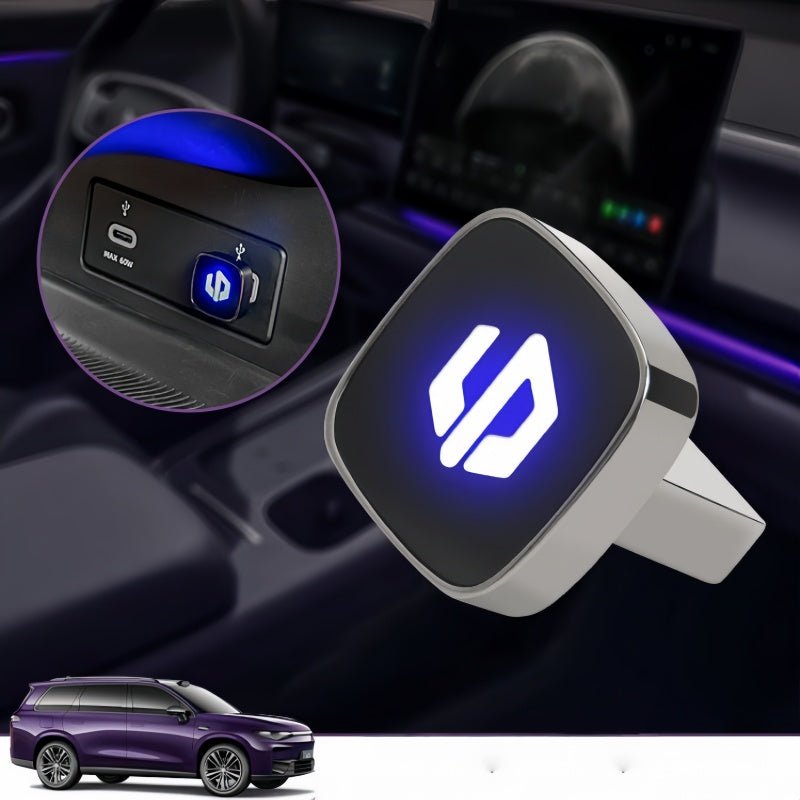 Leapmotor Dash Cam USB Drive for B10 C10 B05 T03
