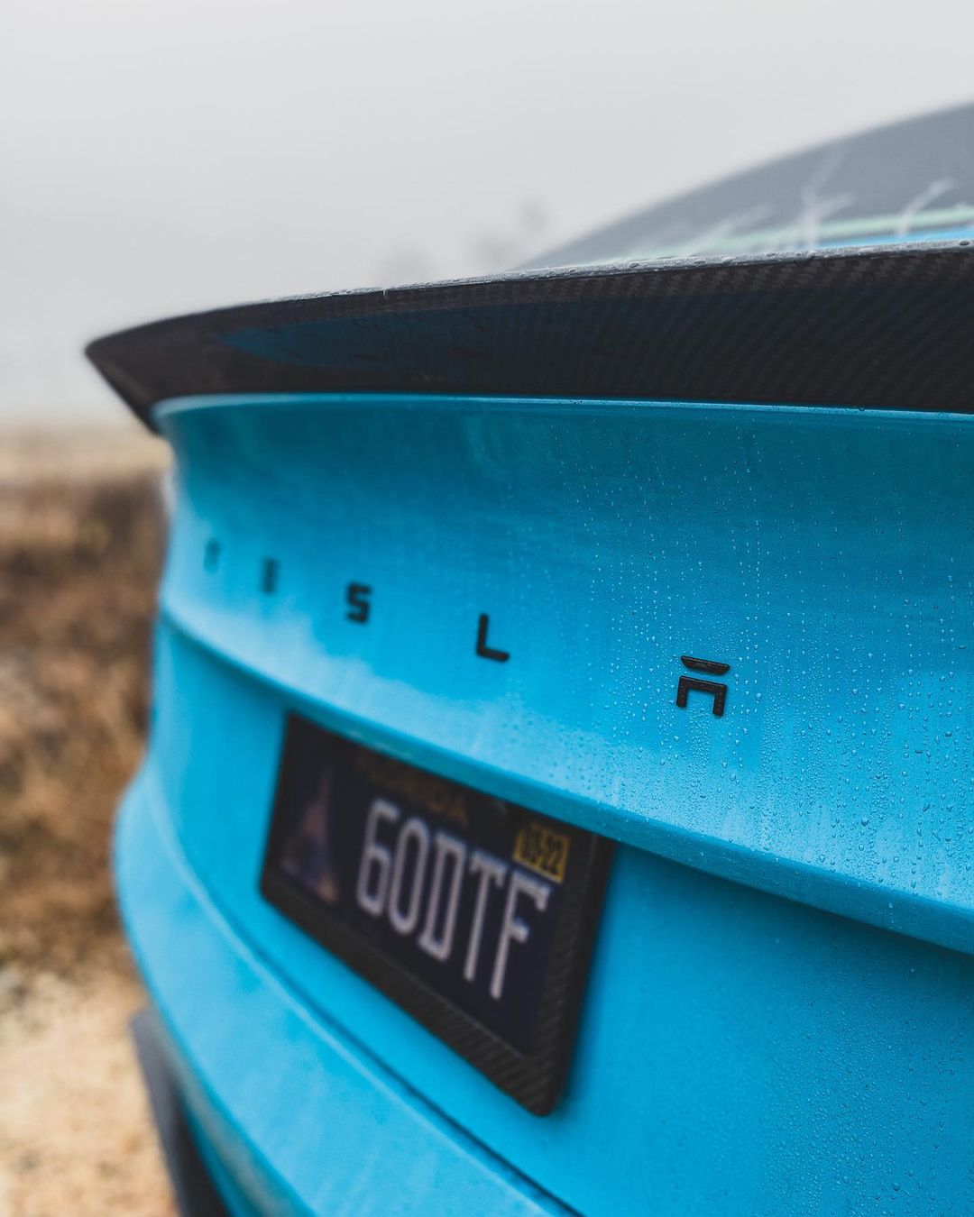 TESERY Tesla Model 3 Carbon Fiber Rear Spoiler Ver.3 - Tesery Official Store