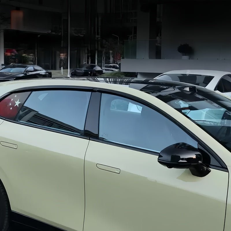 Window Visor Rain Guard for Leapmotor B05